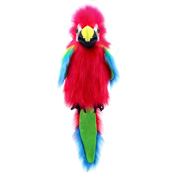 LARGE BIRDS- AMAZON MACAW